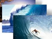 Theme sobre surf para Windows paquetes iconos relacionados