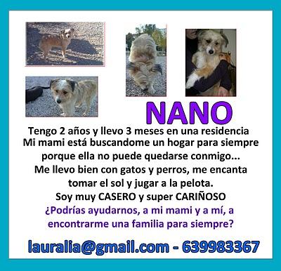 Nano, necesita que lo veáis, está solito en una residencia..