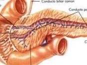 Posible nueva terapia contra cáncer páncreas