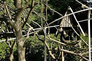 Tokio, día 3