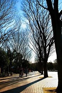 Tokio, día 3