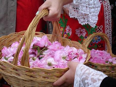 Pétalos de rosa Damascena