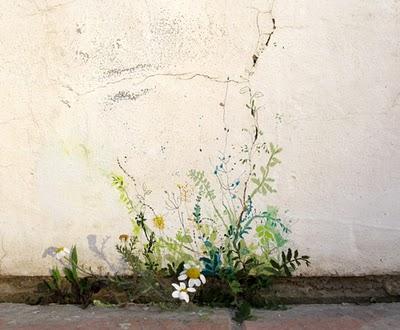 Jardines en las pequeñas grietas