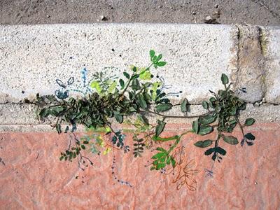 Jardines en las pequeñas grietas