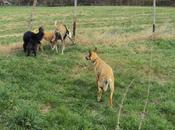 Noticias felices Sergi