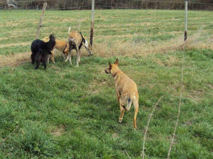 Noticias felices de Sergi