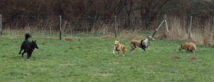 Noticias felices de Sergi