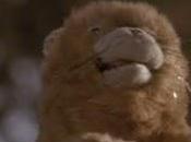 Concurso: imagen pertenece a...IMAGEN (Marzo 2011)