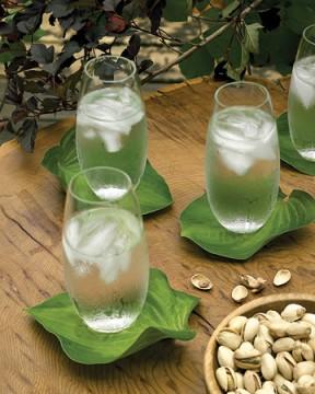 posavasos hechos con hojas