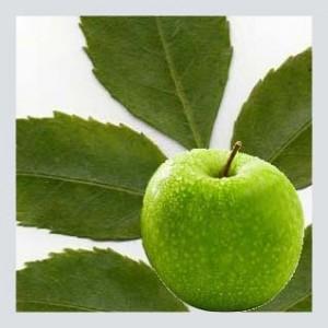 La Alimentación Saludable.