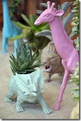 plaidpigeon03_rect540 plaidpigeon03_rect540