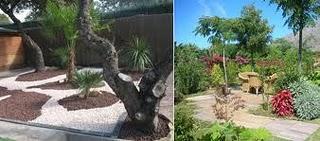 Xerojardinería, Concepto