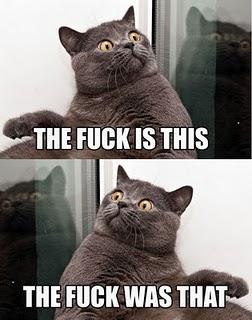 LAS POSIBLES VIDAS DE MR. NOBODY