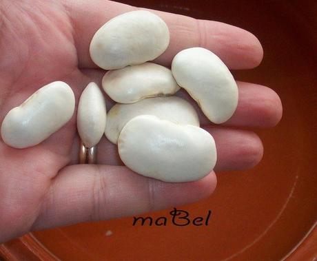 Judiones al estilo de Segovia