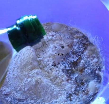 Seitan - carne vegetariana