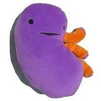 Revisión en nefrología: Todo Ok