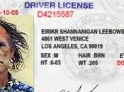 Programas Registro Vehicular Licencias Conducir: asunto Seguridad, Negocios Retos Administrativos