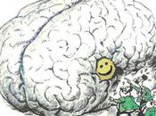 ¿qué edad real tiene cerebro?