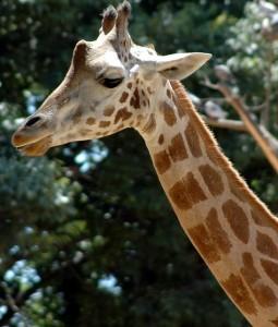 Viajes low cost para familias con niños