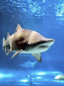 Viajes low cost para familias con niños