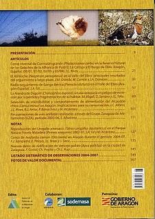 Rocín, volumen VI. Publicación de referencia en la ornitología aragonesa.