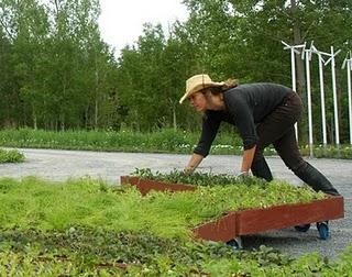 Jardines fragmentados Jardines fragmentados