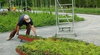 Jardines fragmentados Jardines fragmentados