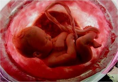 EN EL VIENTRE MATERNO EN EL VIENTRE MATERNO