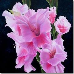 glorious-pink-gladiolas glorious-pink-gladiolas