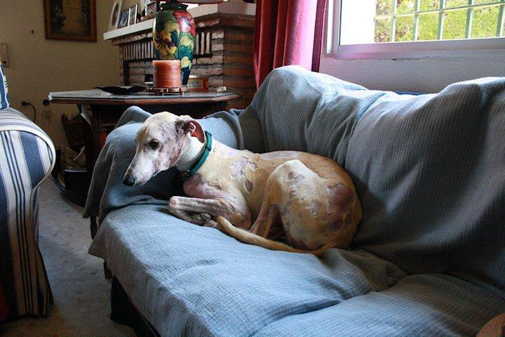 Novedades de Luz, preparad lagrimas de felicidad