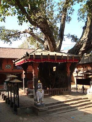 Nepal. Valle de Katmandú (parte II) Nepal. Valle de Katmandú (parte II)