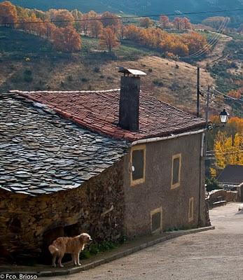 Otoño en la Sierra Norte de Guadalajara- Fco. Brioso