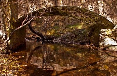 Otoño en la Sierra Norte de Guadalajara- Fco. Brioso