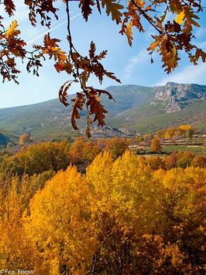 Otoño en la Sierra Norte de Guadalajara- Fco. Brioso