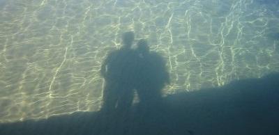 Imágenes de cf. VIII