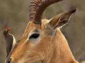 Bancarrota moral totalitaria