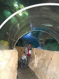 Visita a Sea Life
