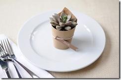 image-7_31111maryswenson