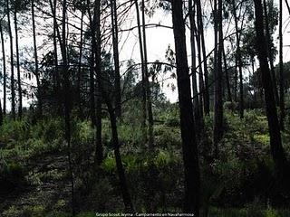 La belleza del mundo (I)