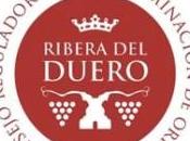 Añada 2010 calificada como Excelente Ribera Duero