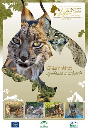 Catálogo foto-identificación del lince ibérico 2010