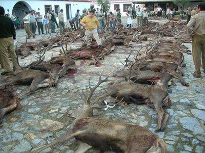 LOS CARTUCHOS DE LA ESTULTICIA APUNTAN HACIA EL ESCRITOR ANIMALISTA