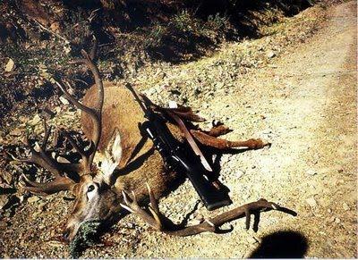 LOS CARTUCHOS DE LA ESTULTICIA APUNTAN HACIA EL ESCRITOR ANIMALISTA