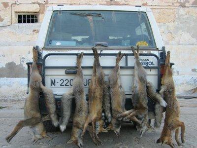 LOS CARTUCHOS DE LA ESTULTICIA APUNTAN HACIA EL ESCRITOR ANIMALISTA