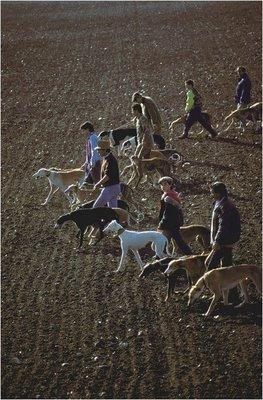 LOS CARTUCHOS DE LA ESTULTICIA APUNTAN HACIA EL ESCRITOR ANIMALISTA