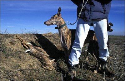 LOS CARTUCHOS DE LA ESTULTICIA APUNTAN HACIA EL ESCRITOR ANIMALISTA LOS CARTUCHOS DE LA ESTULTICIA APUNTAN HACIA EL ESCRITOR ANIMALISTA