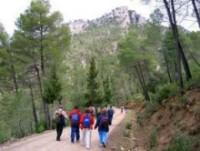 A pie por Sierra Morena