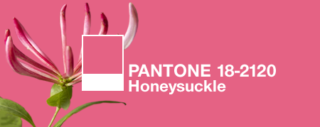 El color Madreselva en interiores