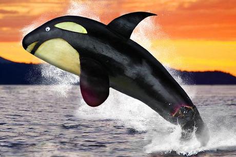 Fotografías que hacen la boca agua