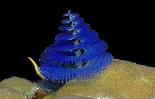 Enlaces de la semana (11/11)